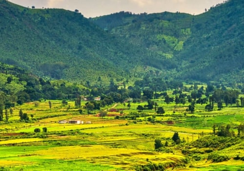 Exploring the Beauty of Kerala Araku Valley