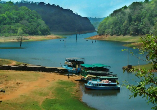 Exploring the Beauty of Periyar Lake